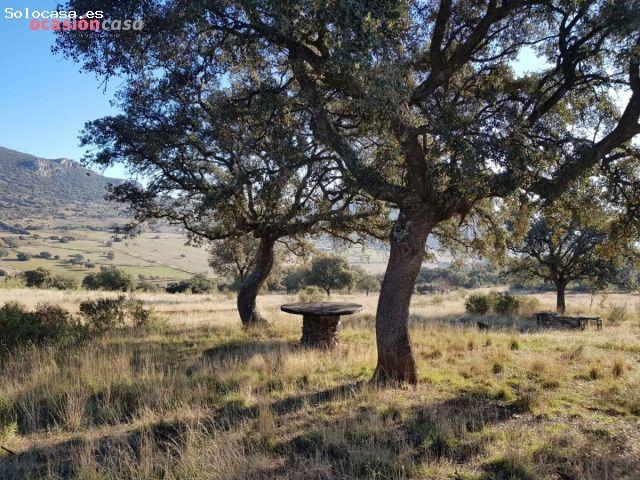 PARCELA CON CHALETS EN PLENA NATURALEZA