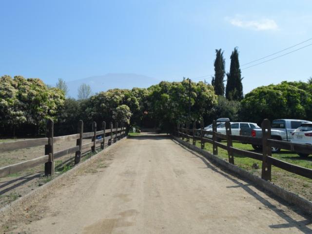 Parcela con pesebreras y galpón en Palomar, Panquehue