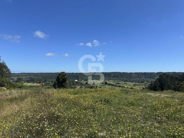 Parcela de Ensueño: Naturaleza y Comodidad en Chamiza | 0 dormitorios por 60000. 00 en Puerto Montt