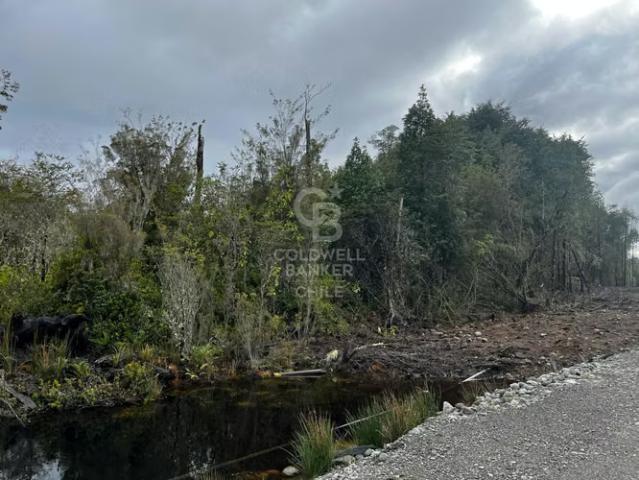 ¡Parcela de Ensueño en Bosque Nativo, Puerto Varas! 0 dormitorios por 29990. 00 en Puerto Montt
