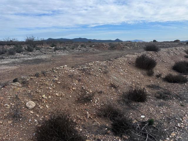 Parcela de terreno en Ubeda Pinoso