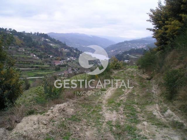 Parcela de terreno urbana, com 18729 m2 de área total, em Paços de Gaiolo