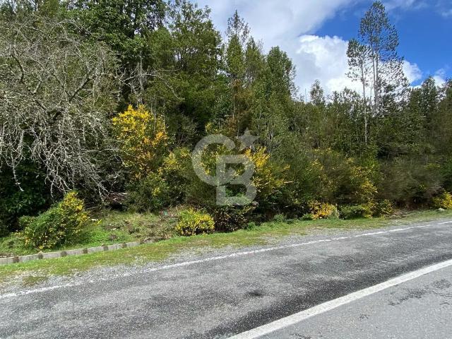 Parcela de 15.000 m² en el sector de Río Sur | 0 dormitorios por 79990. 00 en Puerto Montt