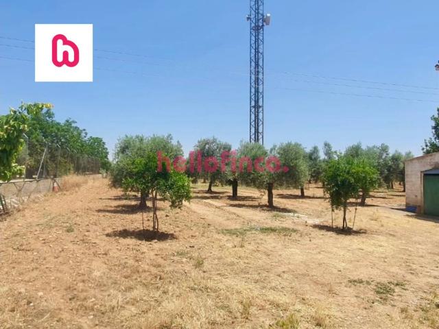 PARCELA DE 40.000M CON CASA EN CARRETERA A 4 OCAÑA TOLEDO