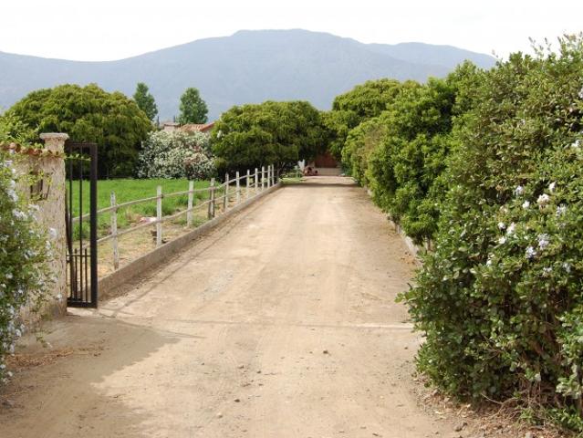 Parcela de 5000 mt2 en Panquehue Casa Tradicional Chilena