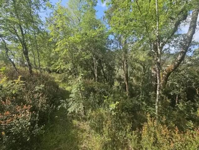 Parcela de 6000 m2 con casa y quincho cayumapu valdivia | 3 dormitorios por 155000. 00 en Valdivia
