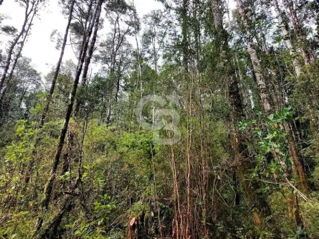 Naturaleza. Entorno Único. Altos de Polincay | 1 dormitorios por 30000. 00 en Puerto Varas