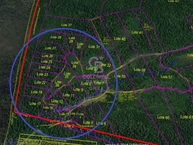 Parcela Ecológica con Vistas y Fauna Única en Ñilque | 0 dormitorios por 18000. 00 en Puyehue
