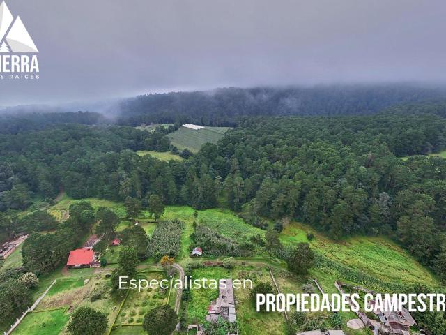 Parcela Ejidal de 6 HA con Bosque y Agua
