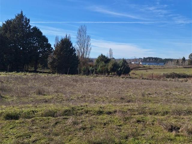 Parcela en Arriendo en Pantanollo,sector El Carmen, Laja
