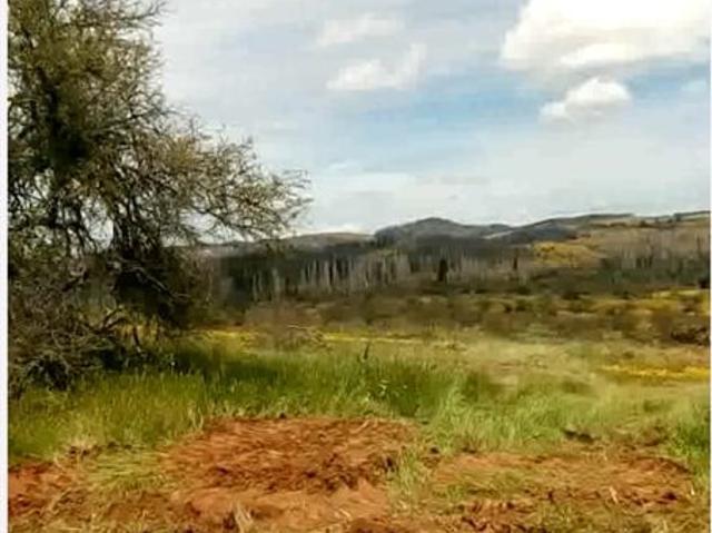 Parcela en Arriendo en SAN JAVIER DE LONCOMILLA