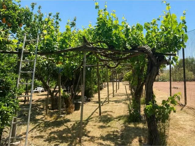 Parcela en chicureo con piscina y gran terreno | 4 dormitorios por 15500.00 en Colina