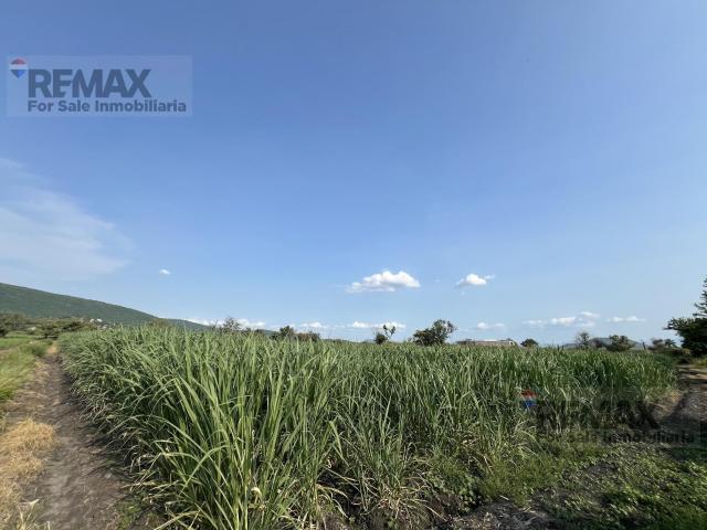 Parcela en Chiconcuac, Xochitepec, Morelos. Clave 5711