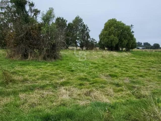 Parcela en Frutillar: Naturaleza y Conectividad | 0 dormitorios por 85000. 00 en Frutillar