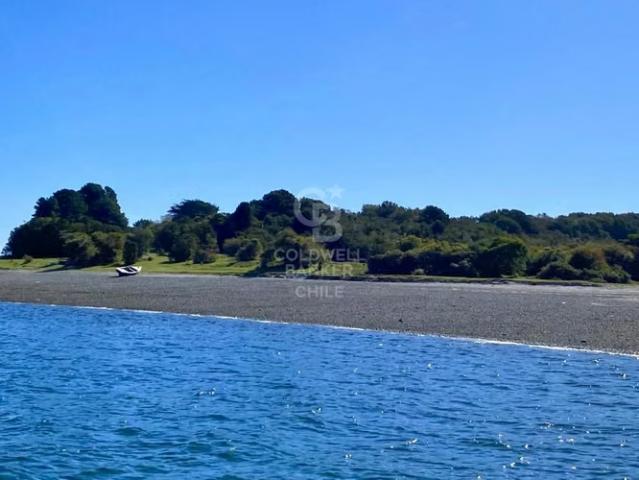 Parcela en Isla: Playa Privada y Bosques Milenarios | 0 dormitorios por 50000. 00 en Calbuco