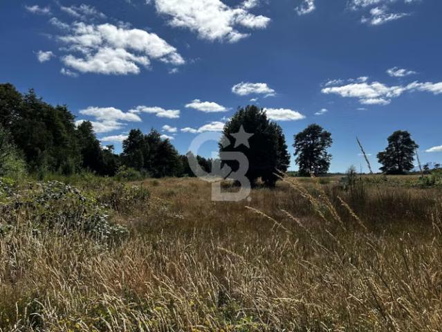 Parcela en Parque Huillín Puerto Varas | 0 dormitorios por 1390.00 en Puerto Varas