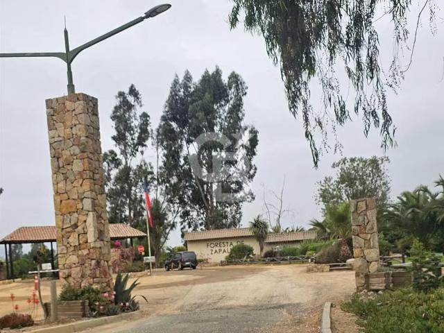 Parcela en Refugio Natural Foresta Zapallar, Oportunidad | 0 dormitorios por 2100.00 en Zapallar