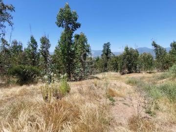 Parcela en sorprendente entorno de 20.000m2 | 0 Dormitorios por 80000. 00 en Quintero