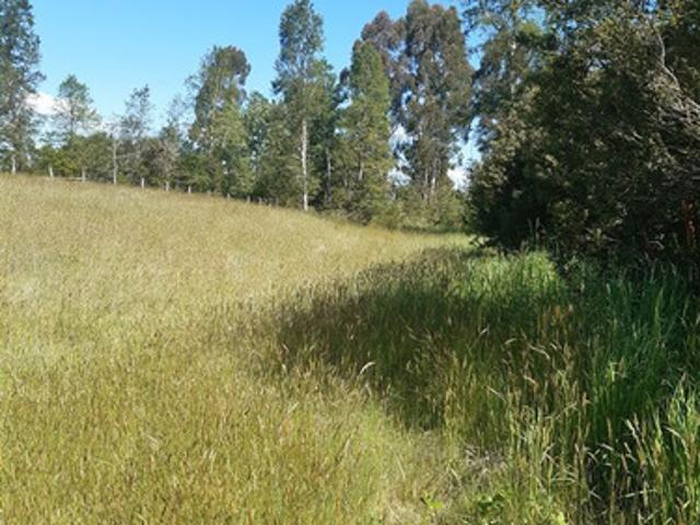 PARCELA EN VENTA DE 7.800M2 SECTOR PUFUDI VALDIVIA