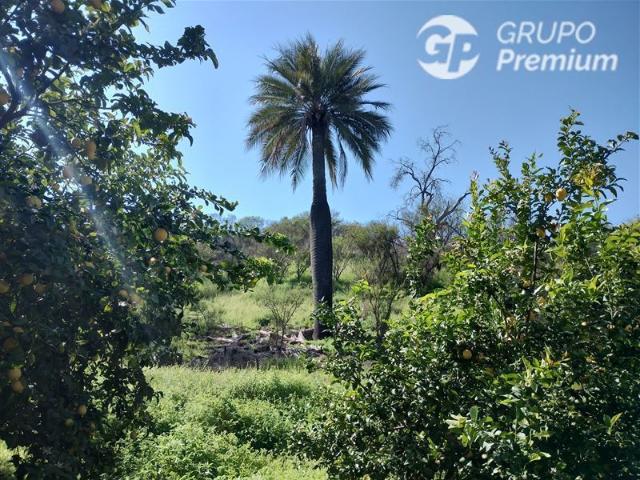 Parcela en Venta en Oasis de la Campana Hijuelas