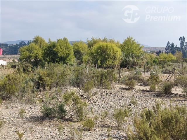 Parcela en Venta en Algarrobito
