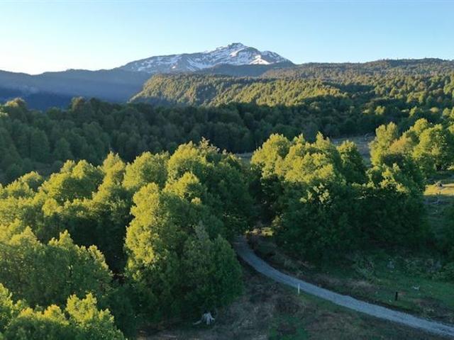 Parcela en Venta en Aldea Centinela Malalcahuello