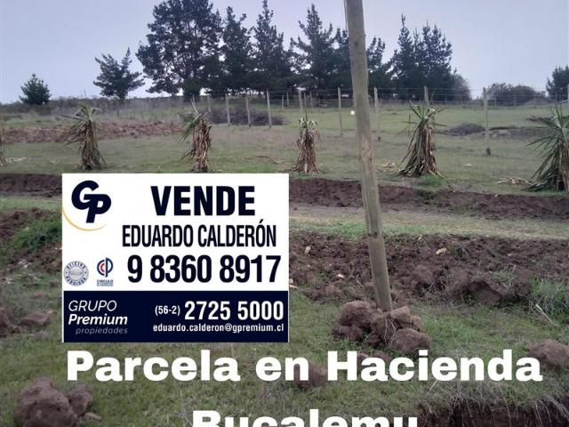 Parcela en Venta en Bucalemu