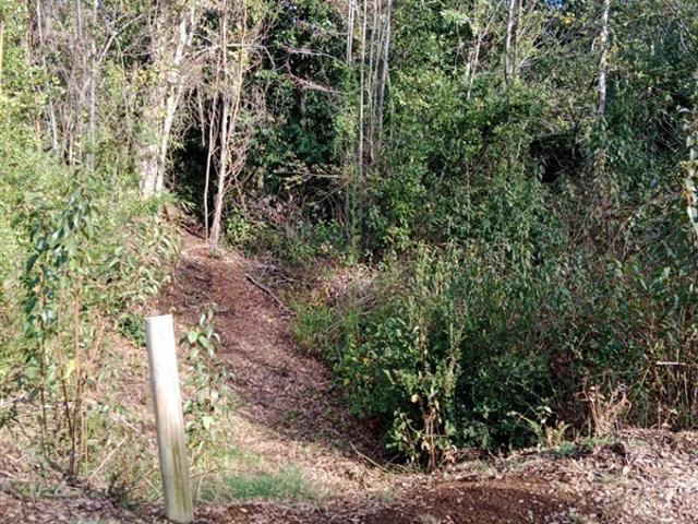 Parcela en Venta en Camino a Quilaco Km 4, Pucón