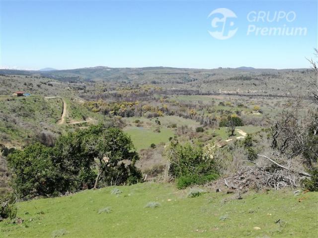 Parcela en Venta en Camino La Viña Santo Domingo