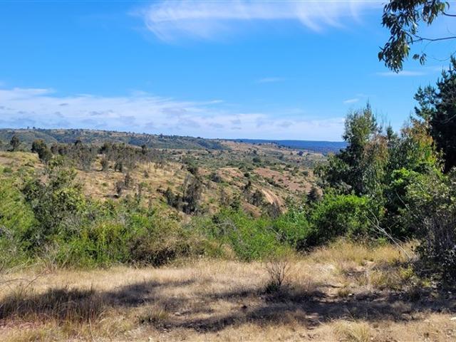 Parcela en Venta en Camino Las Dichas