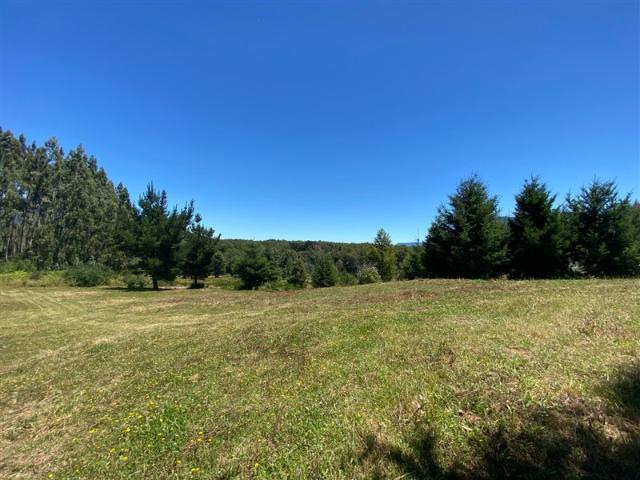 Parcela en Venta en Camino Menetúe, sector Quilaco