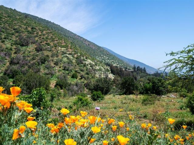 Parcela en Venta en camino público el maqui sin número, quebrada alvarado