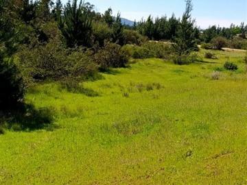 Parcela en Venta en Cauquenes