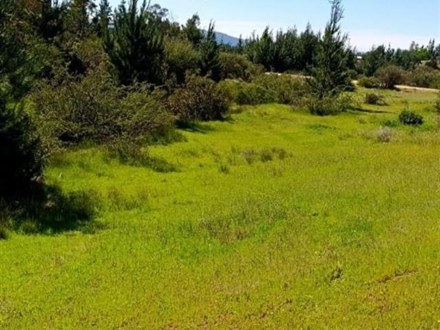 Parcela en Venta en Cauquenes