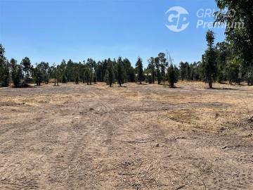 Paseo Alejo, Provincia de Punilla, Región de Ñuble