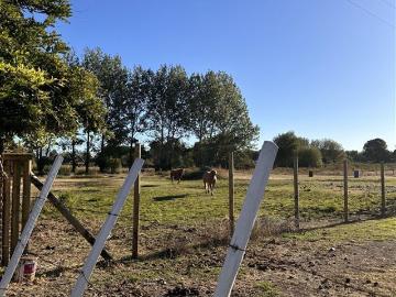 Parcela en Venta en Colonia Bernardo O’higgins
