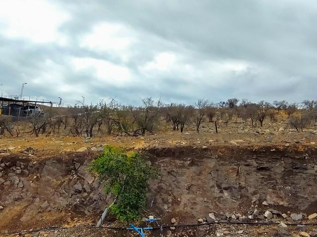 Parcela en venta en Colina