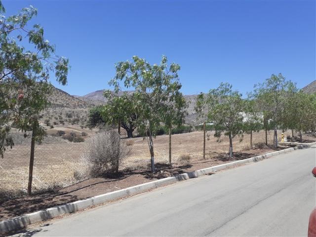 Parcela en Venta en Condominio Hacienda Chacabuco