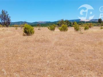 Parcela en Venta en ex subdelegación Pocillas lote 7