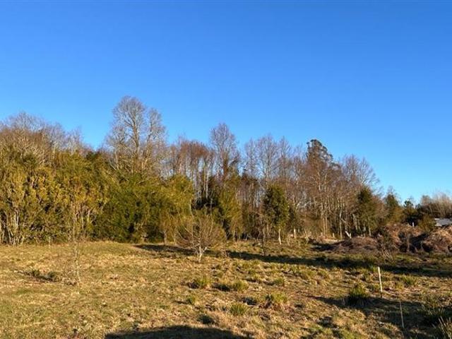 Parcela en Venta en EL MONJE PANGUIPULLI