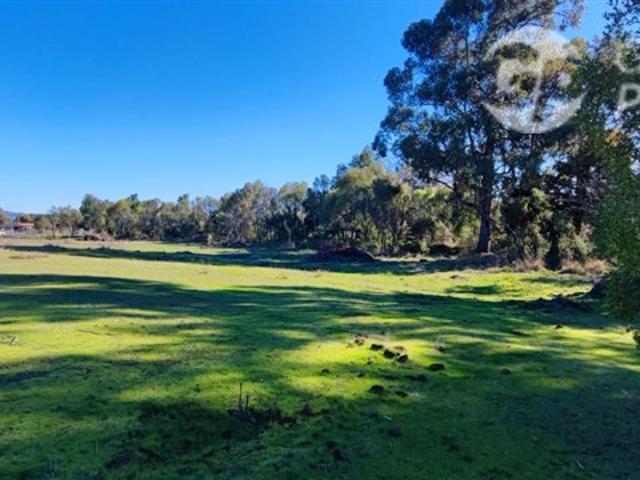 Parcela en Venta en Fundo El Cienago, Quillón