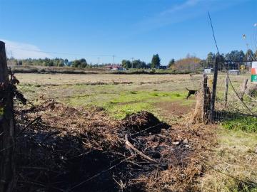 Parcela en Venta en FUNDO LAS CABRAS