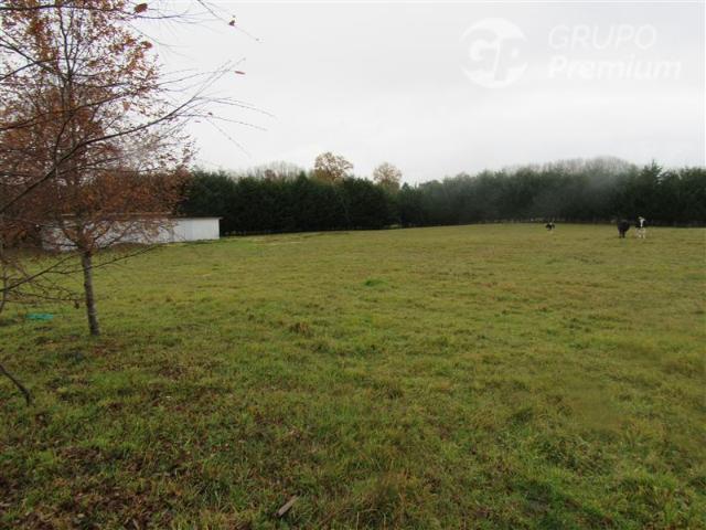 Parcela en Venta en Frutillar
