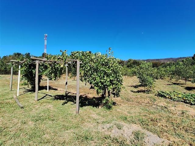 Parcela en Venta en Huallarrehue, Comuna Santa Juana, Region del Bio Bio