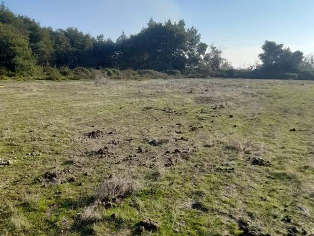 Parcela en Venta en HUAPI ALTO LINARES