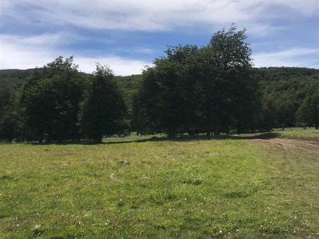 Parcela en Venta en HERMOSA PARCELA CERCA DE COYHAIQUE