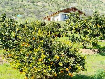 Parcela en Venta en Isabel Riquelme