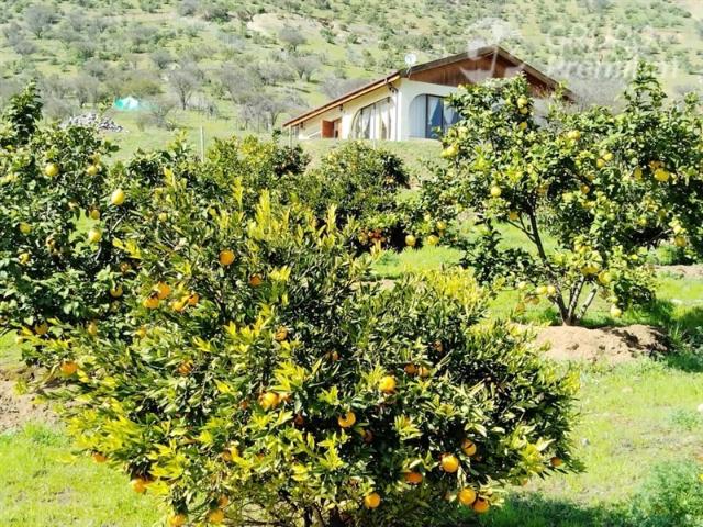 Parcela en Venta en Isabel Riquelme