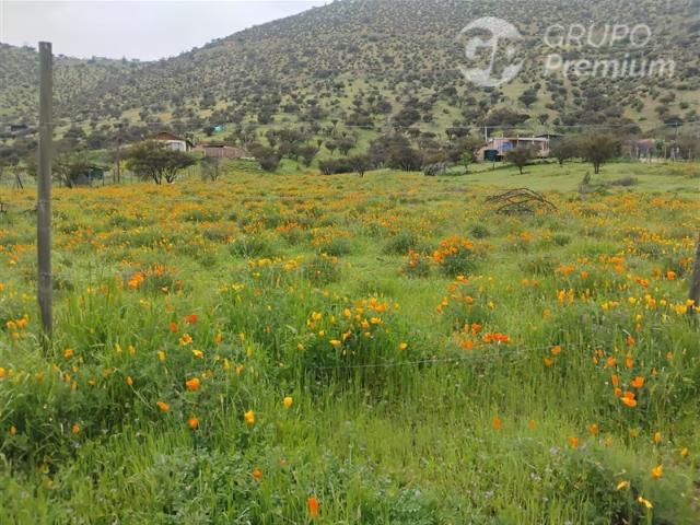 Parcela en Venta en Isabel Riquelme