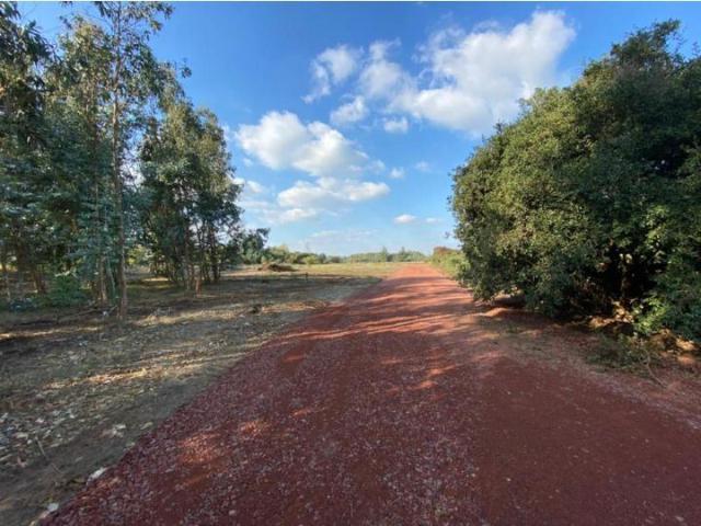 Parcela en Venta en Km. 6 camino Cato